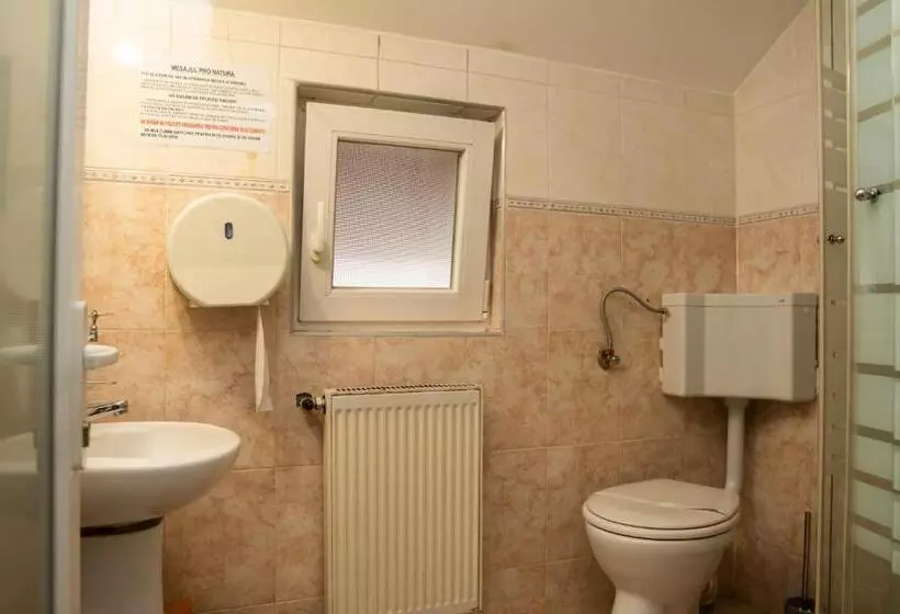 Pensiunea Lido Moisei