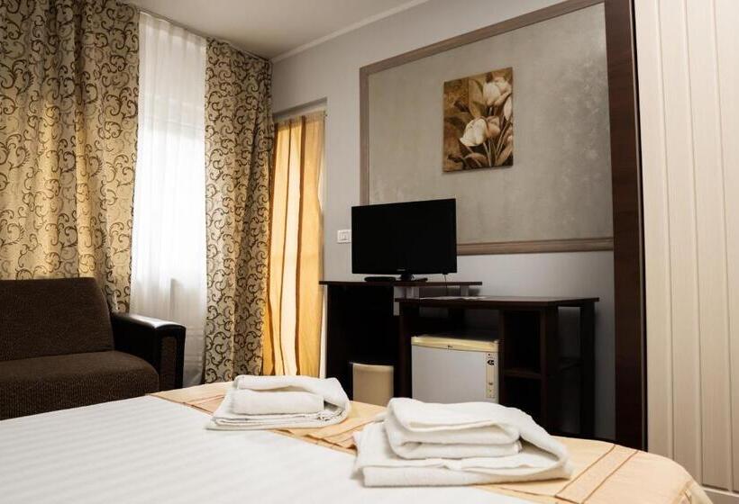 Pensiunea Lido Moisei