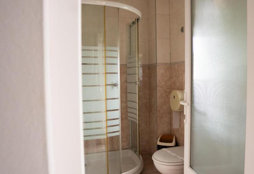 Pensiunea Lido Moisei