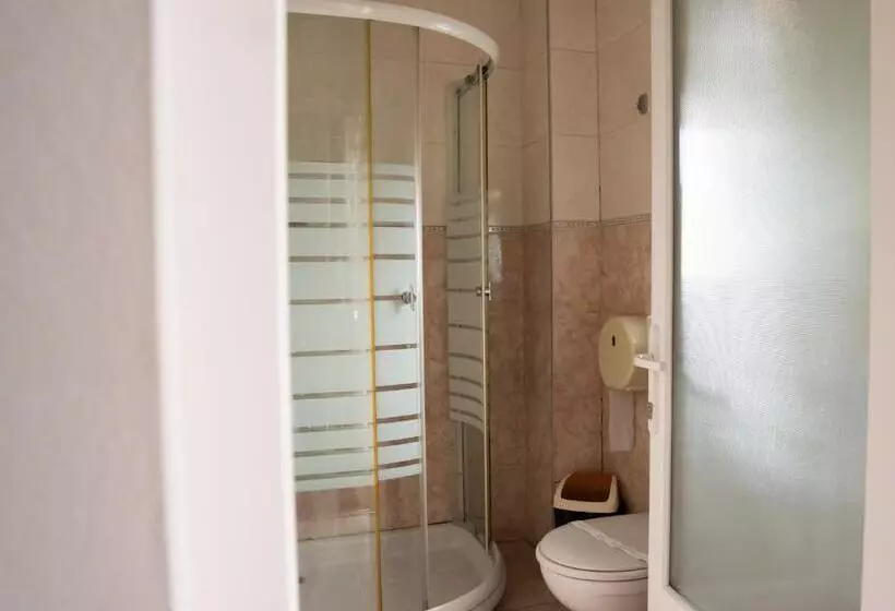 Pensiunea Lido Moisei