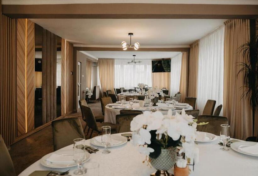 Pensiunea Lido Moisei