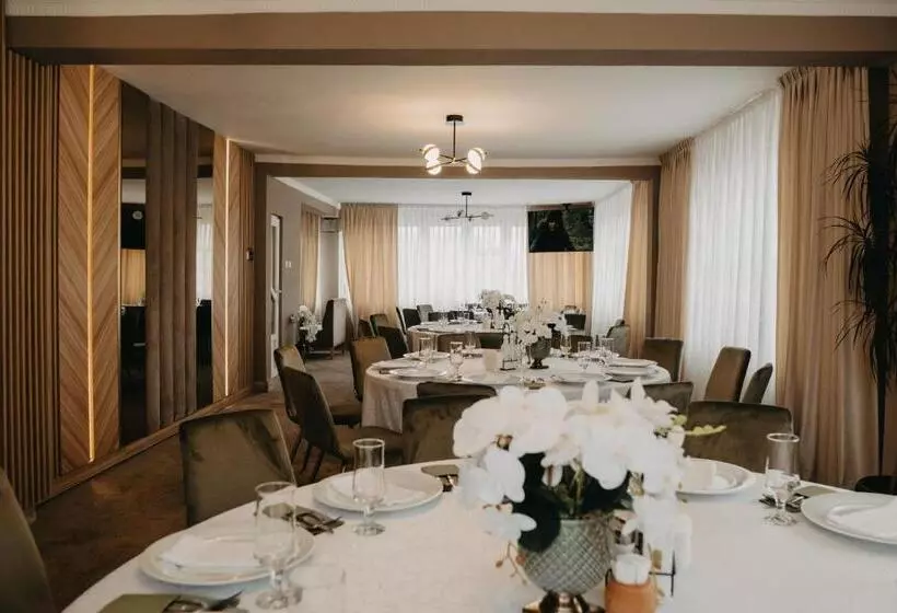 Pensiunea Lido Moisei