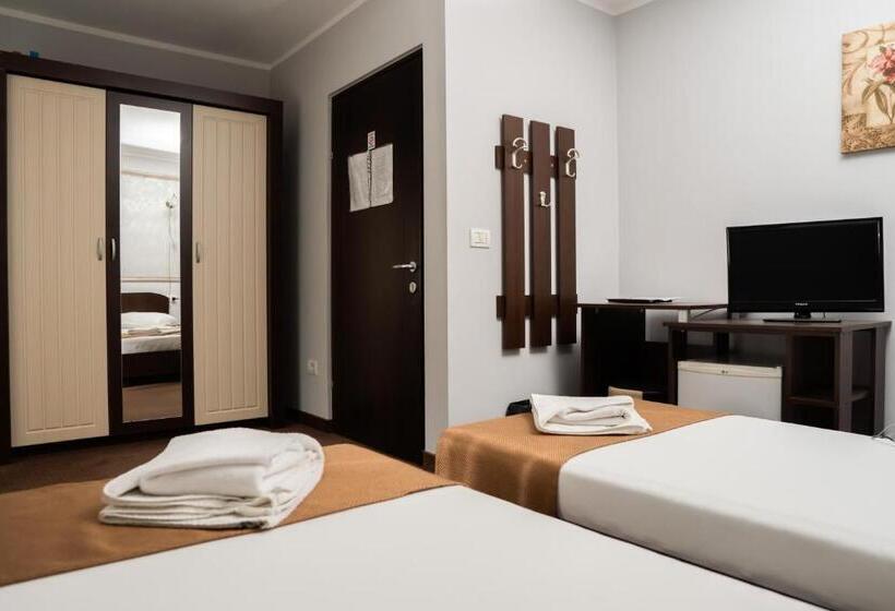 Pensiunea Lido Moisei