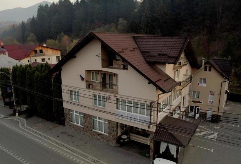 Pensiunea Lido Moisei