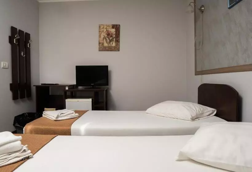 Pensiunea Lido Moisei