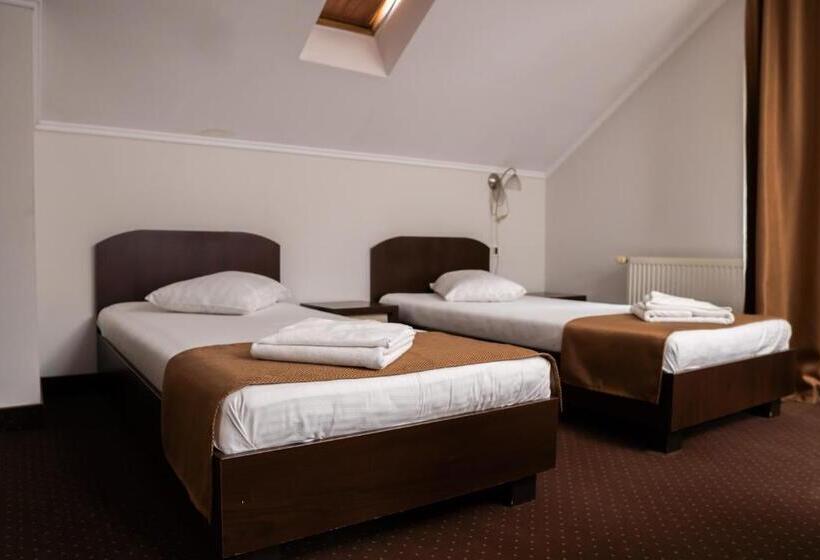 Pensiunea Lido Moisei