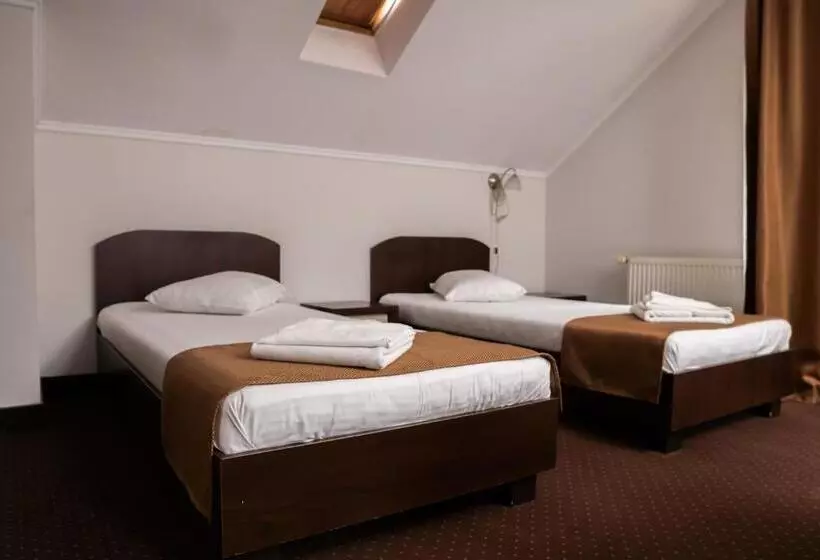 Pensiunea Lido Moisei