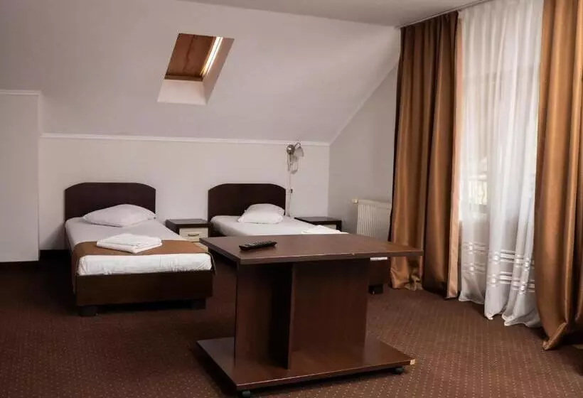 Pensiunea Lido Moisei