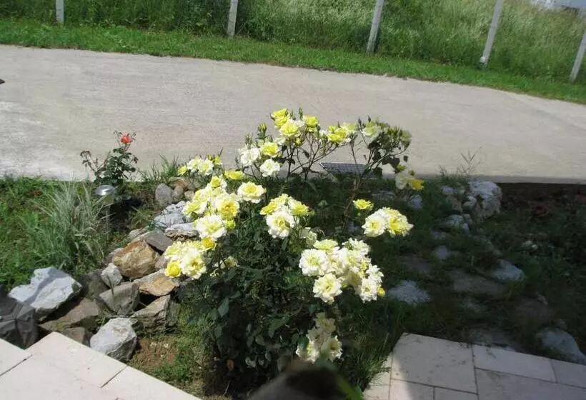 Pensiunea Neredy
