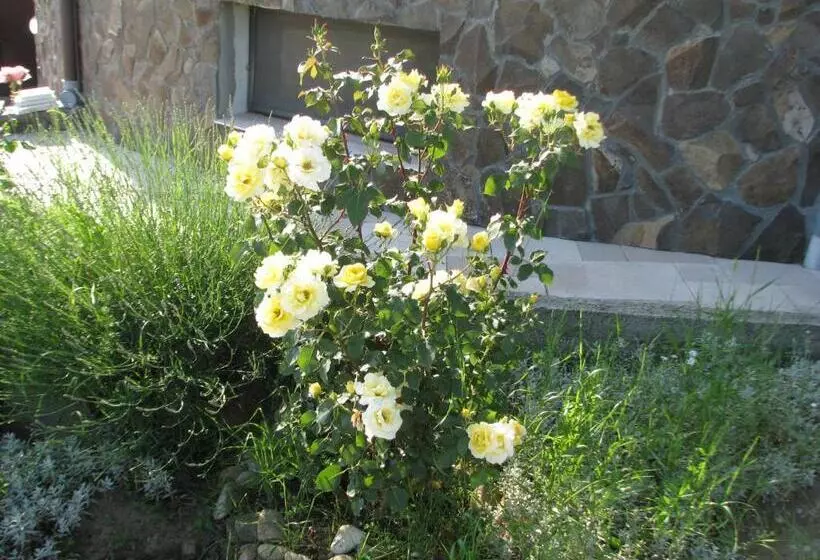 Pensiunea Neredy