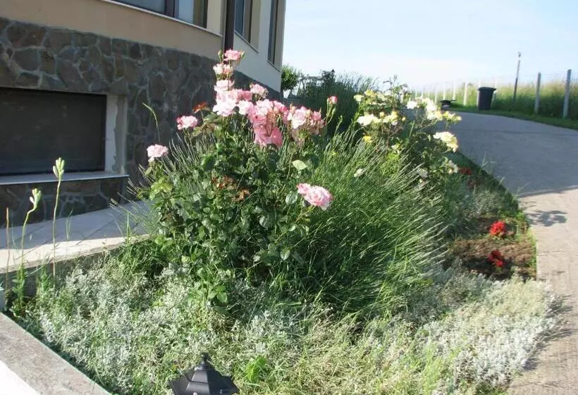 Pensiunea Neredy