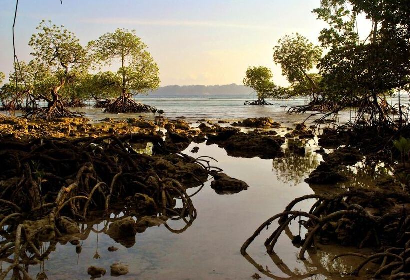 Resort Sea Shell Neil