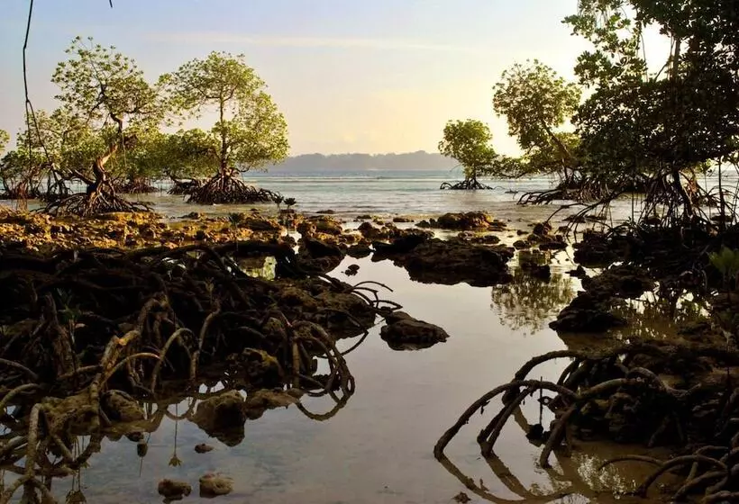 Lomakeskus Sea Shell Neil