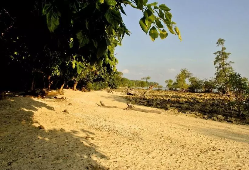Lomakeskus Sea Shell Neil