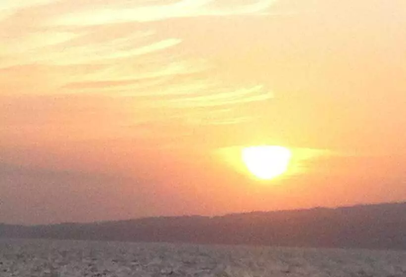 Lomakeskus Sea Shell Neil