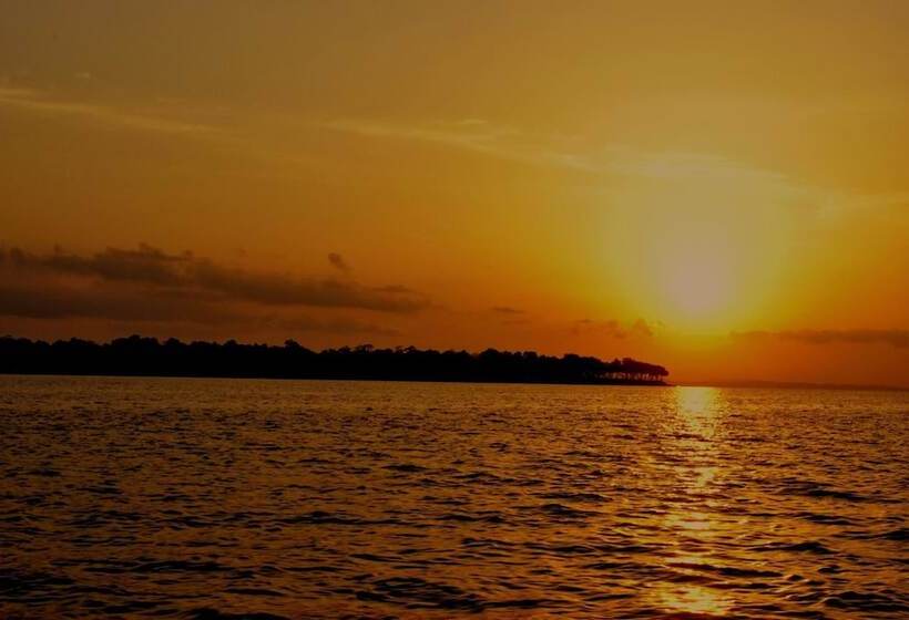 Resort Sea Shell Neil