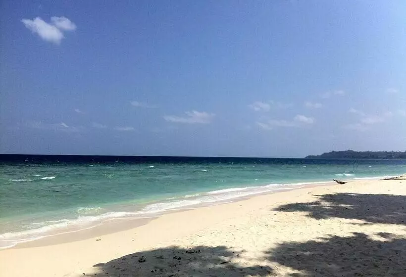 Lomakeskus Sea Shell Neil