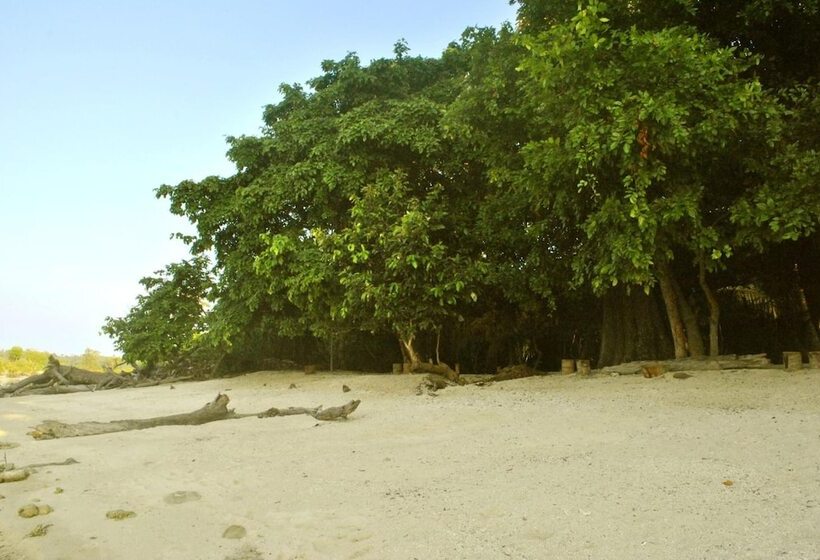 Resort Sea Shell Neil