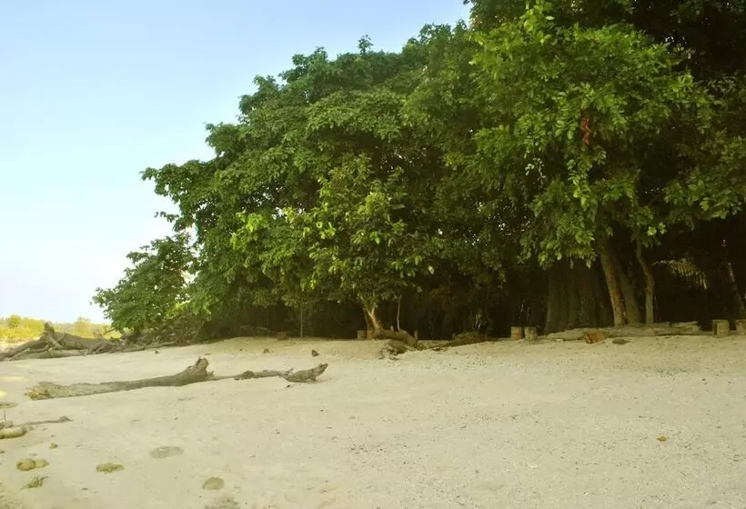 Lomakeskus Sea Shell Neil