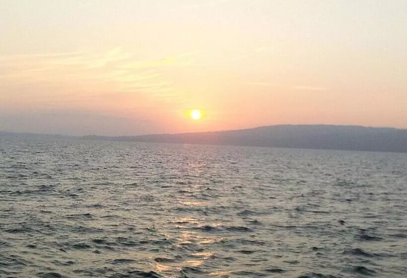 Lomakeskus Sea Shell Neil