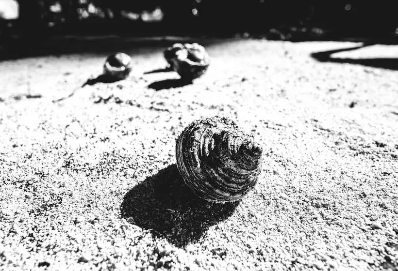 Lomakeskus Sea Shell Neil