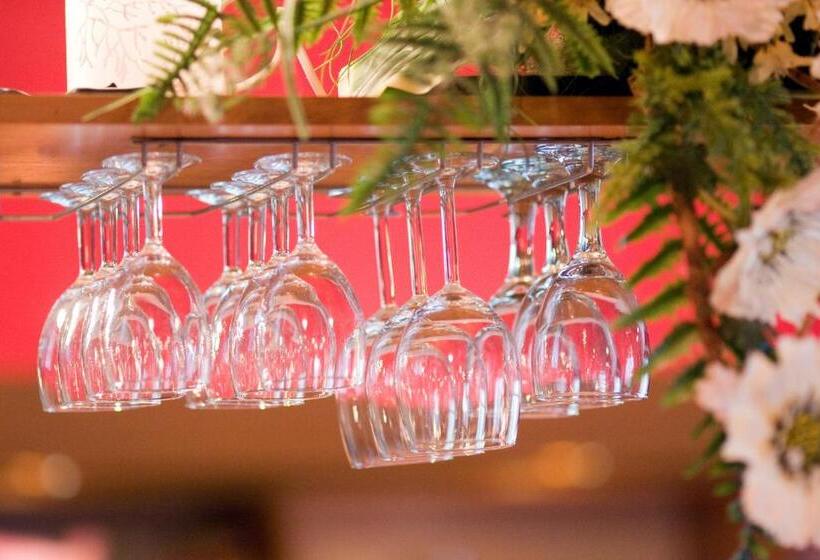 Wellness Hotel Bahenec