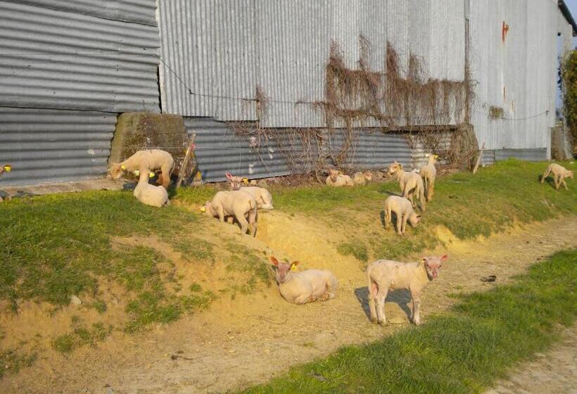 住宿加早餐 Chambres D Hôtes Antézière
