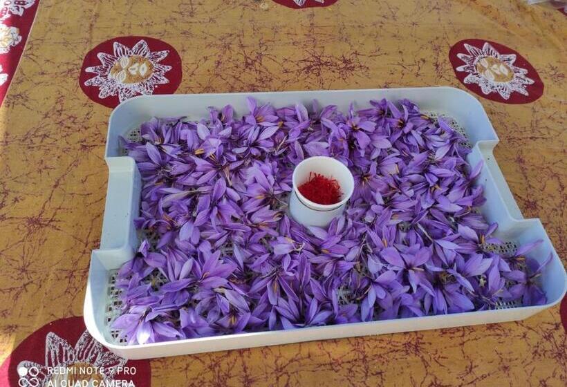 ベッドアンドブレックファースト Chambres D'hotes Au Vieux Logis