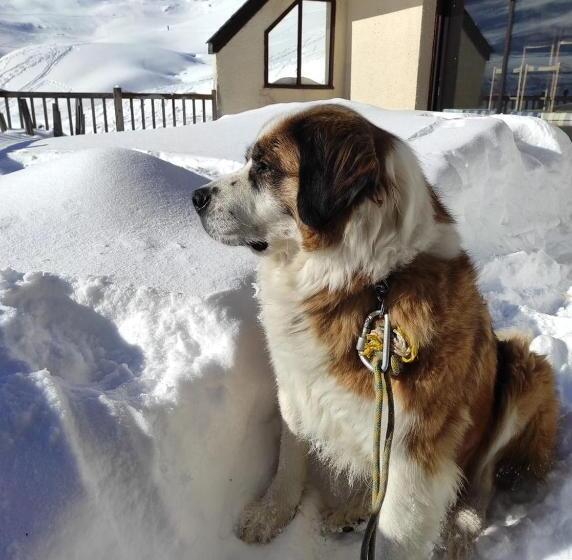 ベッドアンドブレックファースト Chambres D'hotes Au Vieux Logis