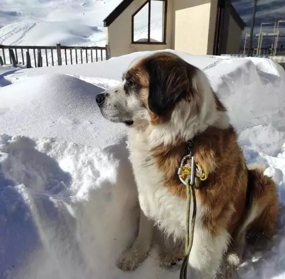 Aamiaismajoitus (B&B) Chambres D'hotes Au Vieux Logis