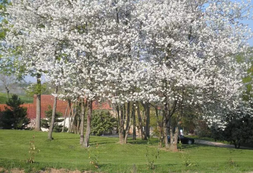 ベッドアンドブレックファースト Domaine Du Moulin De L Etang