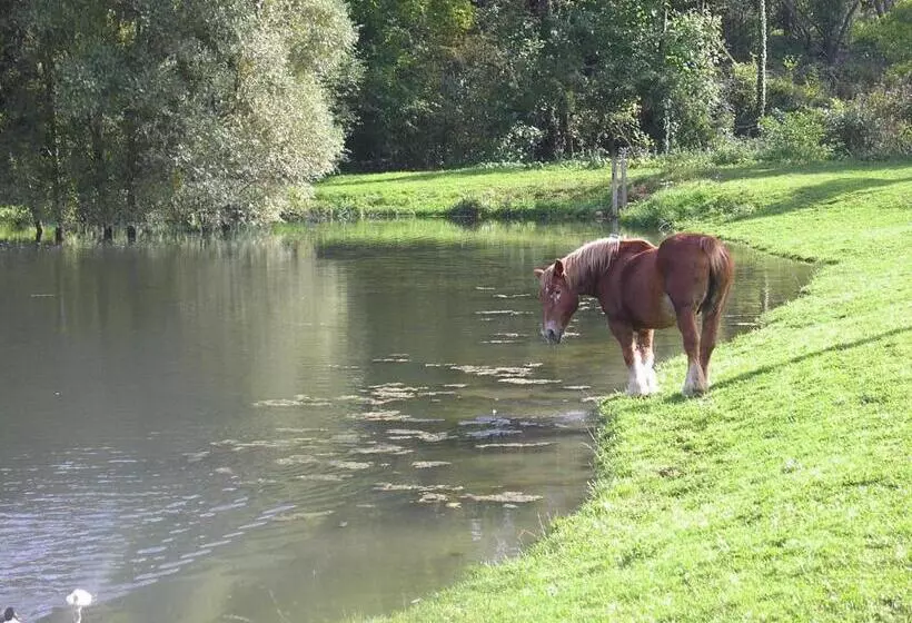 ベッドアンドブレックファースト Domaine Du Moulin De L Etang