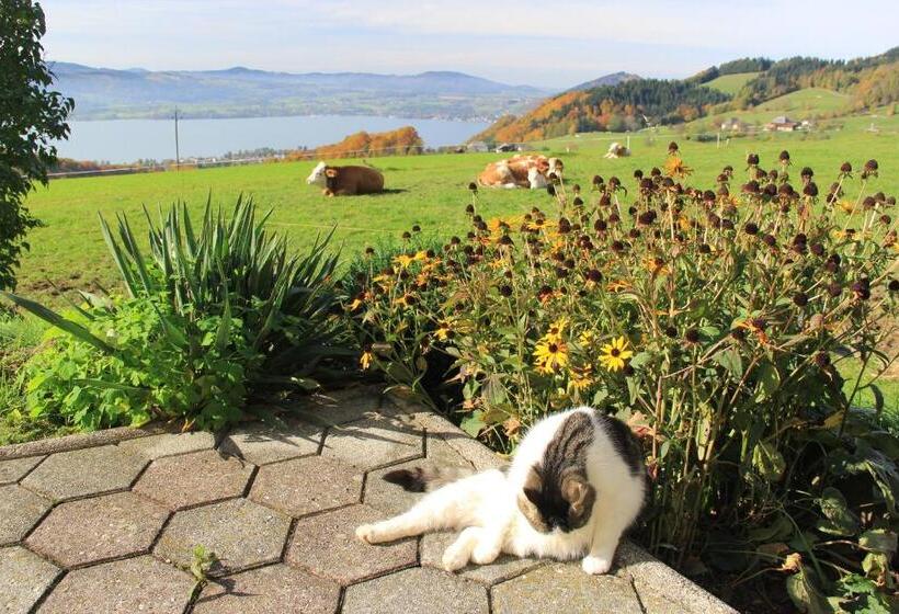 Bed and Breakfast Ferienwohnungen Schöbringer