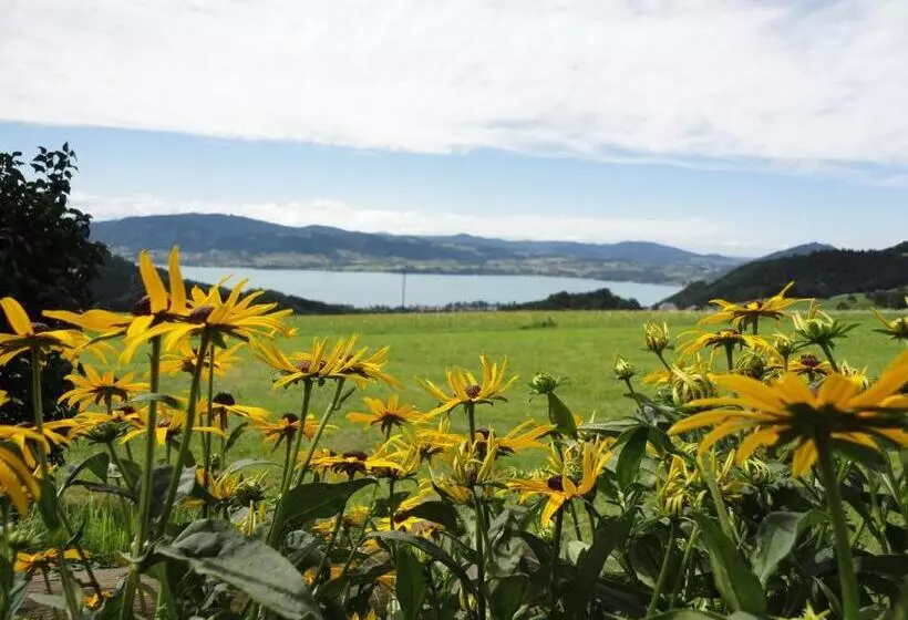 ベッドアンドブレックファースト Ferienwohnungen Schöbringer