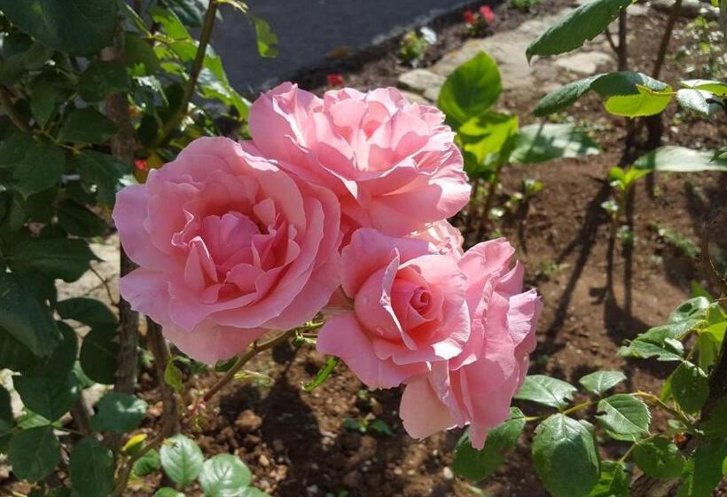 مبيت وإفطار La Closeraie