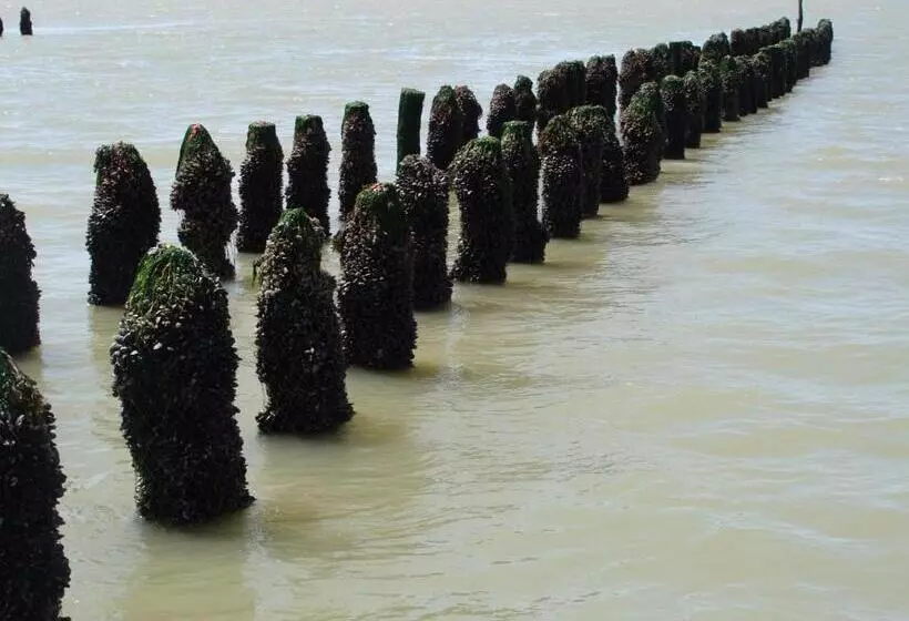 ベッドアンドブレックファースト La Closeraie