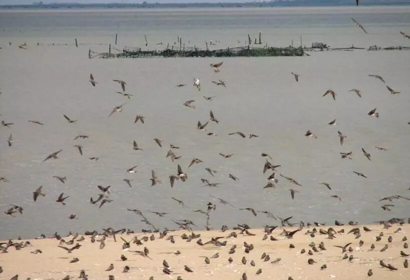 ベッドアンドブレックファースト La Closeraie