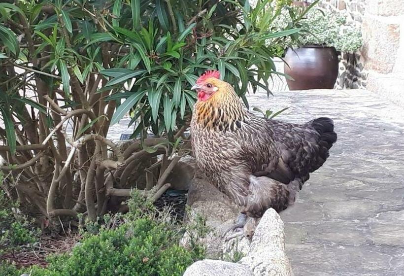 ベッドアンドブレックファースト Les Sources