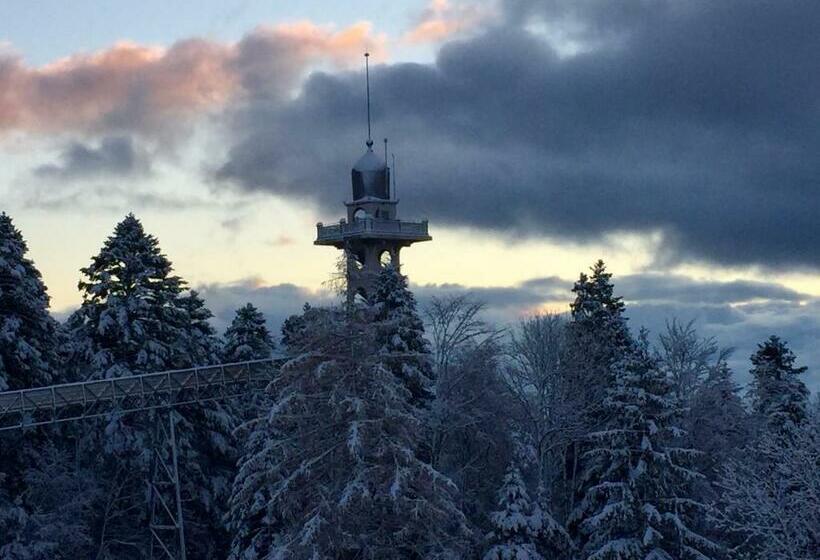 ホテル Petit Hôtel De Chaumont