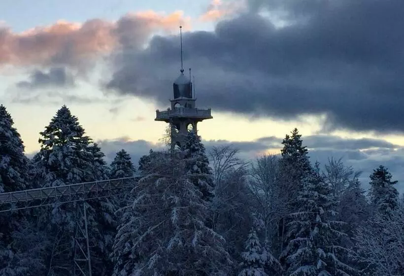 Hotelli Petit Hôtel De Chaumont