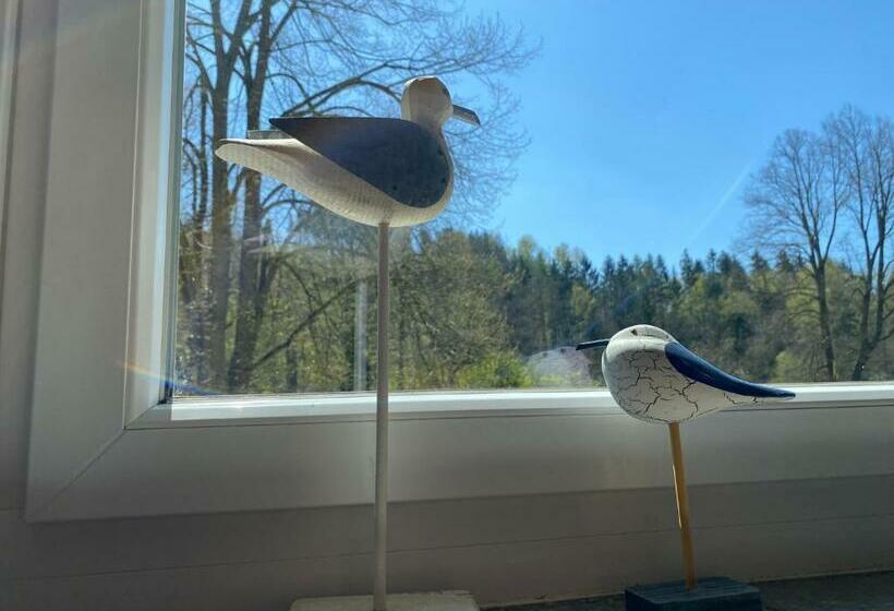 호텔 Villa Wilisch