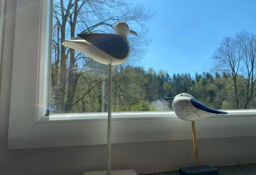 ホテル Villa Wilisch