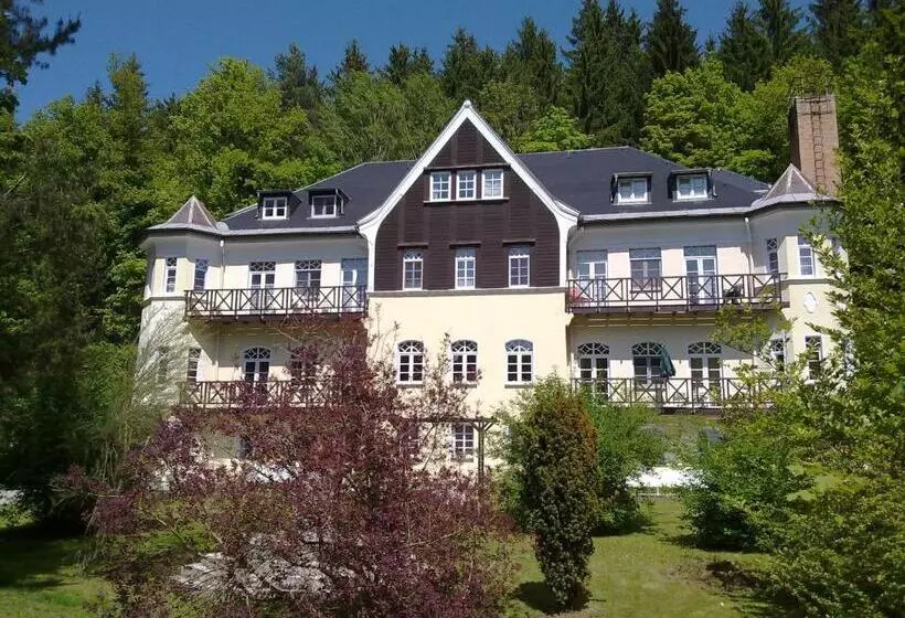 ホテル Villa Wilisch