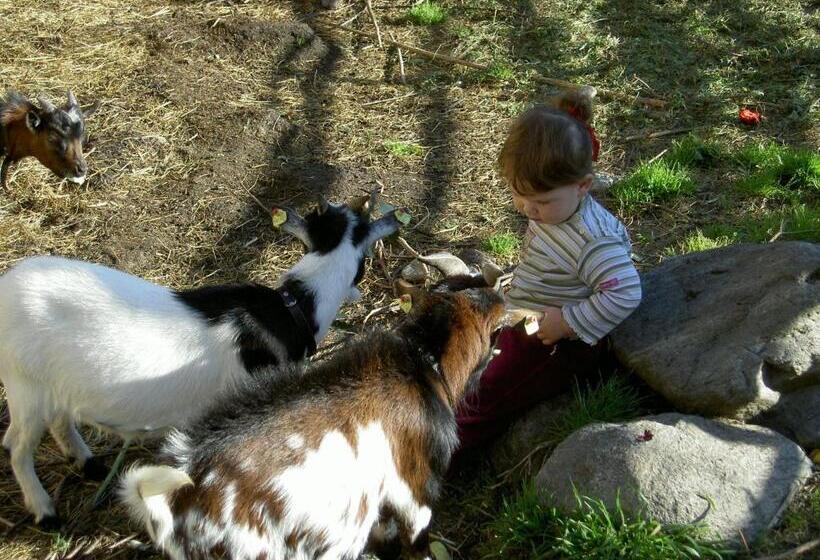 펜션 Gasthof Neuwirt