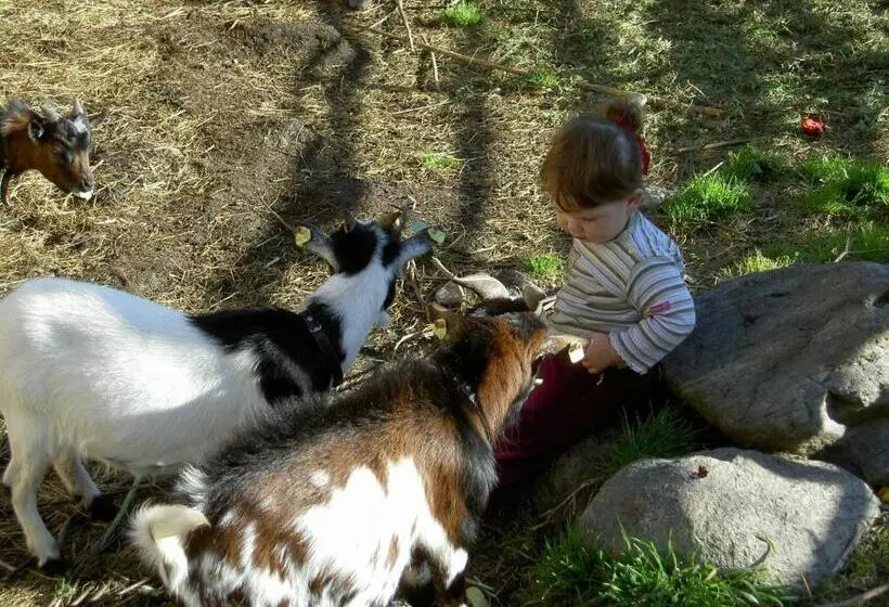 Majatalo Gasthof Neuwirt