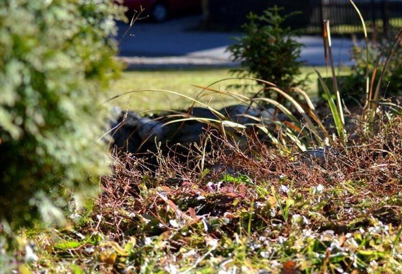 ペンション Haus Verdi