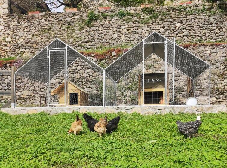 Пансион Hostal Moliné