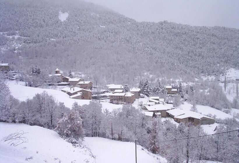 Пансион Hostal Moliné