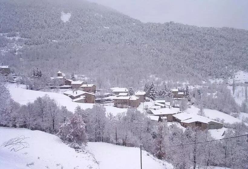 ペンション Hostal Moliné