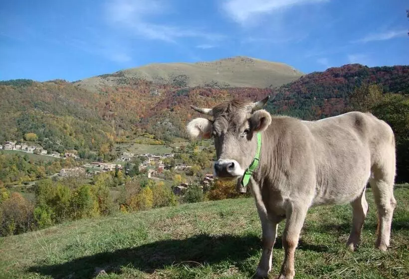 ペンション Hostal Moliné